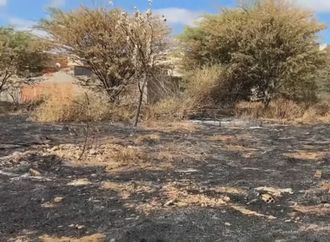 Chamas no bairro Vivendas: Incêndio em terreno força moradores a deixar casas