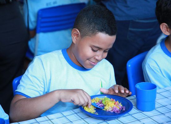 Dia Nacional da Alimentação Escolar: com maior programa do mundo, Brasil atende 40 milhões de estudantes por dia