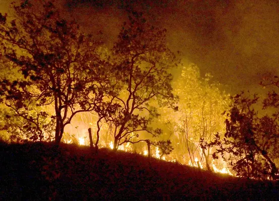 Mais de 5 mil focos de incêndio estão ativos no Brasil, diz Inpe; Brasil representa 76% das queimadas na América Latina