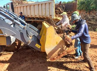 Sob nova administração, Ibipeba começa grande operação de limpeza urbana